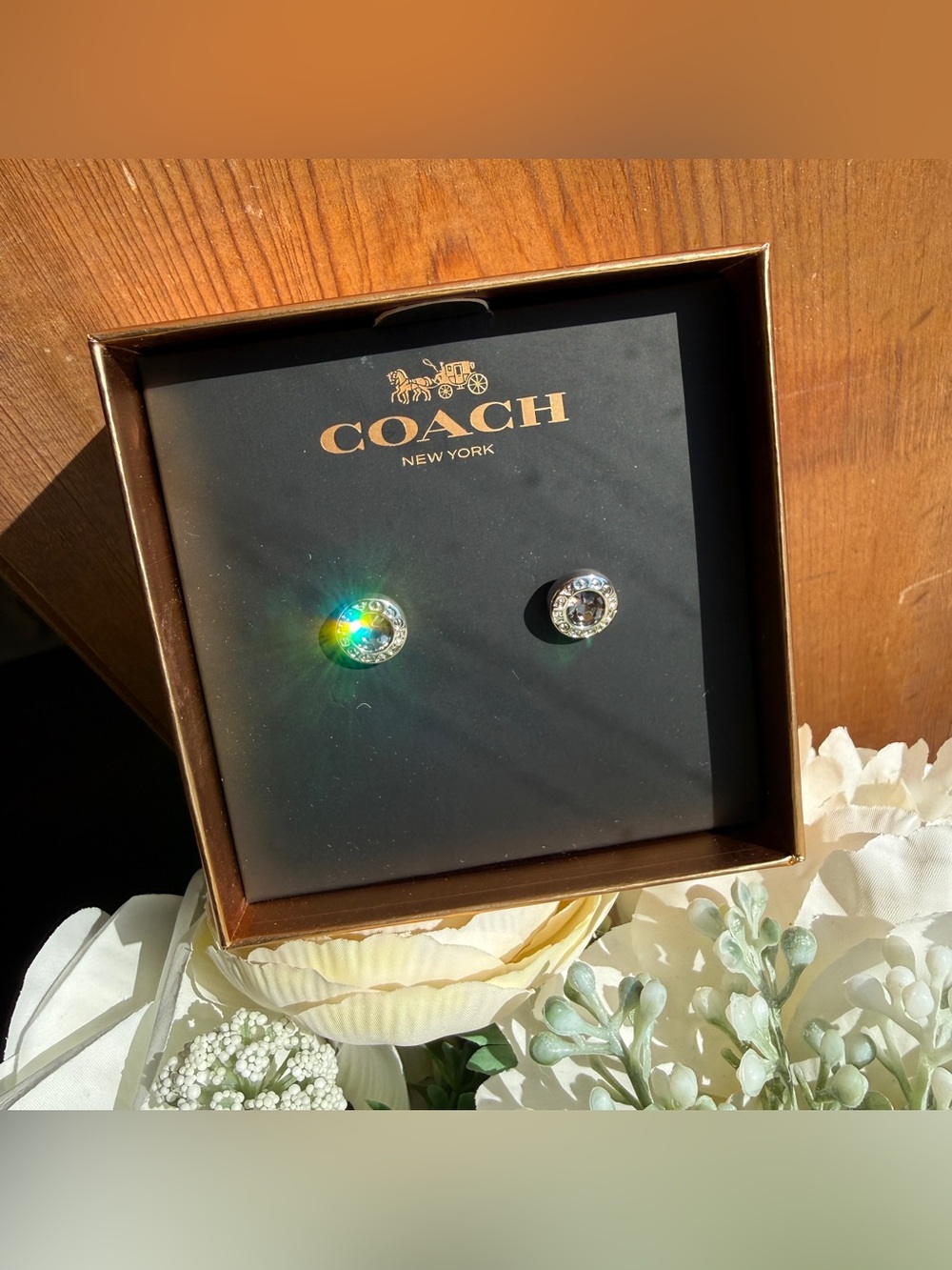 COACH F54516 OPN CRCL STN STD ERN stud earrings